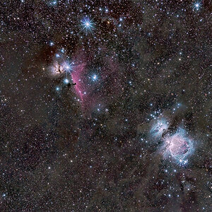 M42 Widefield