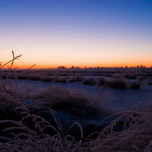 Sonnenaufgang im Moor 001