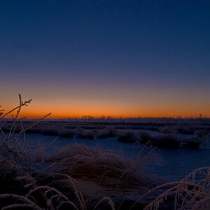 Sonnenaufgang im Moor 002