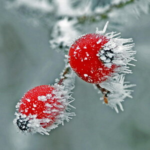 Winterlandschaft Fedkante 002