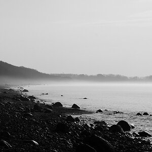 comp DSC 0774a