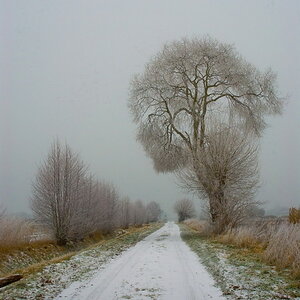 Winterlandschaft Fedkante 005