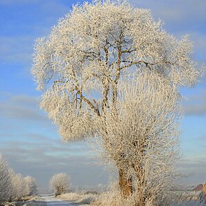 Winterlandschaft Fedkante 008