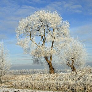 Winterlandschaft Fedkante 009