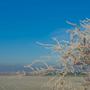 Winterlandschaft Fedkante 012