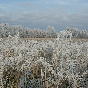 Winterlandschaft Fedkante 016