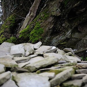 20090311 7891 [D700]   F2,0 35,00mm
