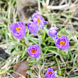 20090311 7910 [D700]   F1,8 35,00mm Crop geschärft