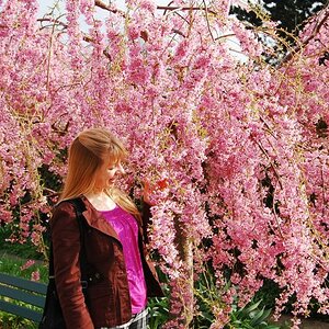 Rike unter der Magnolie