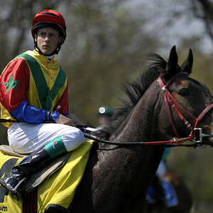 20090413 125151 Galopp Muenchen
