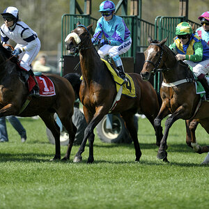 20090413 141455 Galopp Muenchen  04