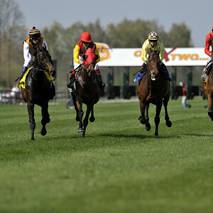 20090413 144833 Galopp Muenchen  03
