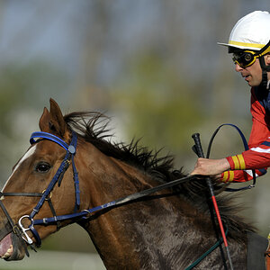 20090413 163311 Galopp Muenchen
