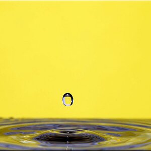 Yellow Drop