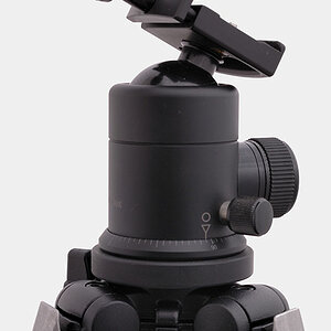 D2X 5334 web