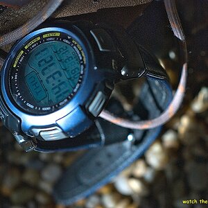 s DSC 0929