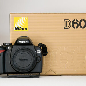D60