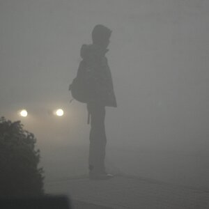 Nebel auch heute 015