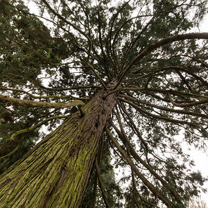 Insel Mainau