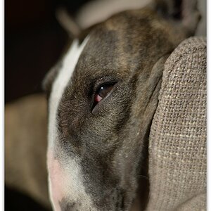 MNE 2095, 20140220
D800 Ai-S 35mm f1,4 bei 2,0
