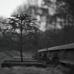 comp img001