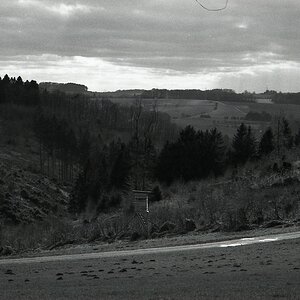 comp img009