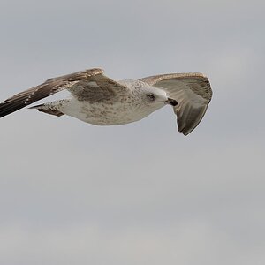 2014 03 17 15 30 49 D70 7522 copy