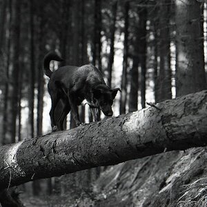 comp img004 bearbeitet