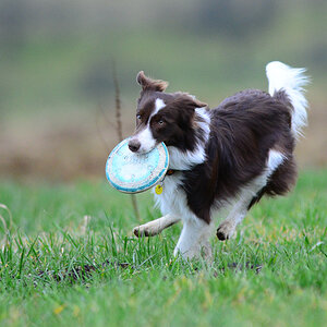 20140301 DSC 6269