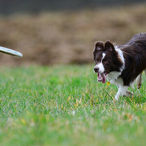 20140301 DSC 6304