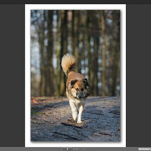 Exif ViewNX 1