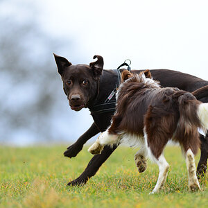 20140222 DSC 6042
