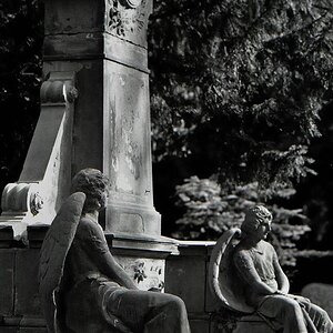 comp img003 bearbeitet