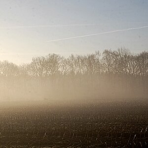 Morgenlicht 002