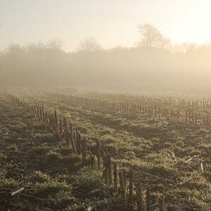 Morgenlicht 004