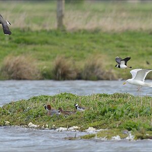 aacomp nabu wedel 20140413 0145