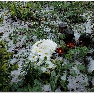 DSCF3812, 20140324
Hagelschauer
Fuji X20