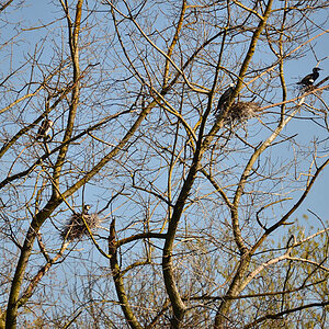 DSC 0858 khg