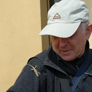 Herbert und Drache