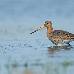20140322 UAC 7746