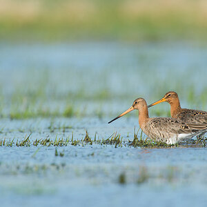 20140322 UAC 7798