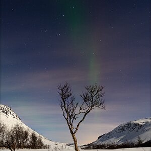 aacomp tromsö 20140211 2996