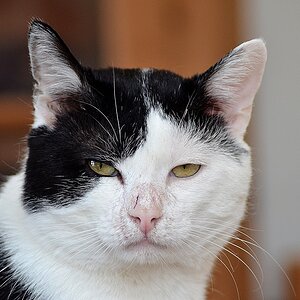 DSC 0607