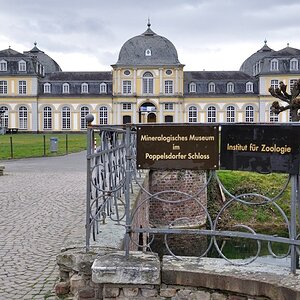 Bonn - Poppelsdorfer Schloss