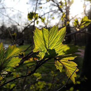 NikonV1 41020140327 161818 01