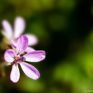 20140329 DSC 0032nf