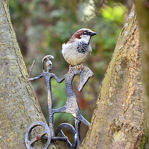 DSC 0510 khg