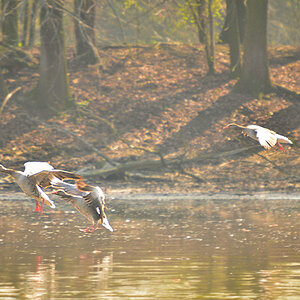DSC 0789 khg