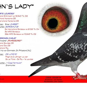 JOHNS LADY