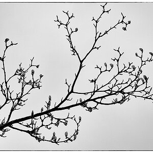 95/365
